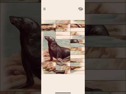 展现历史动物插画的《动物绘艺》游戏截图