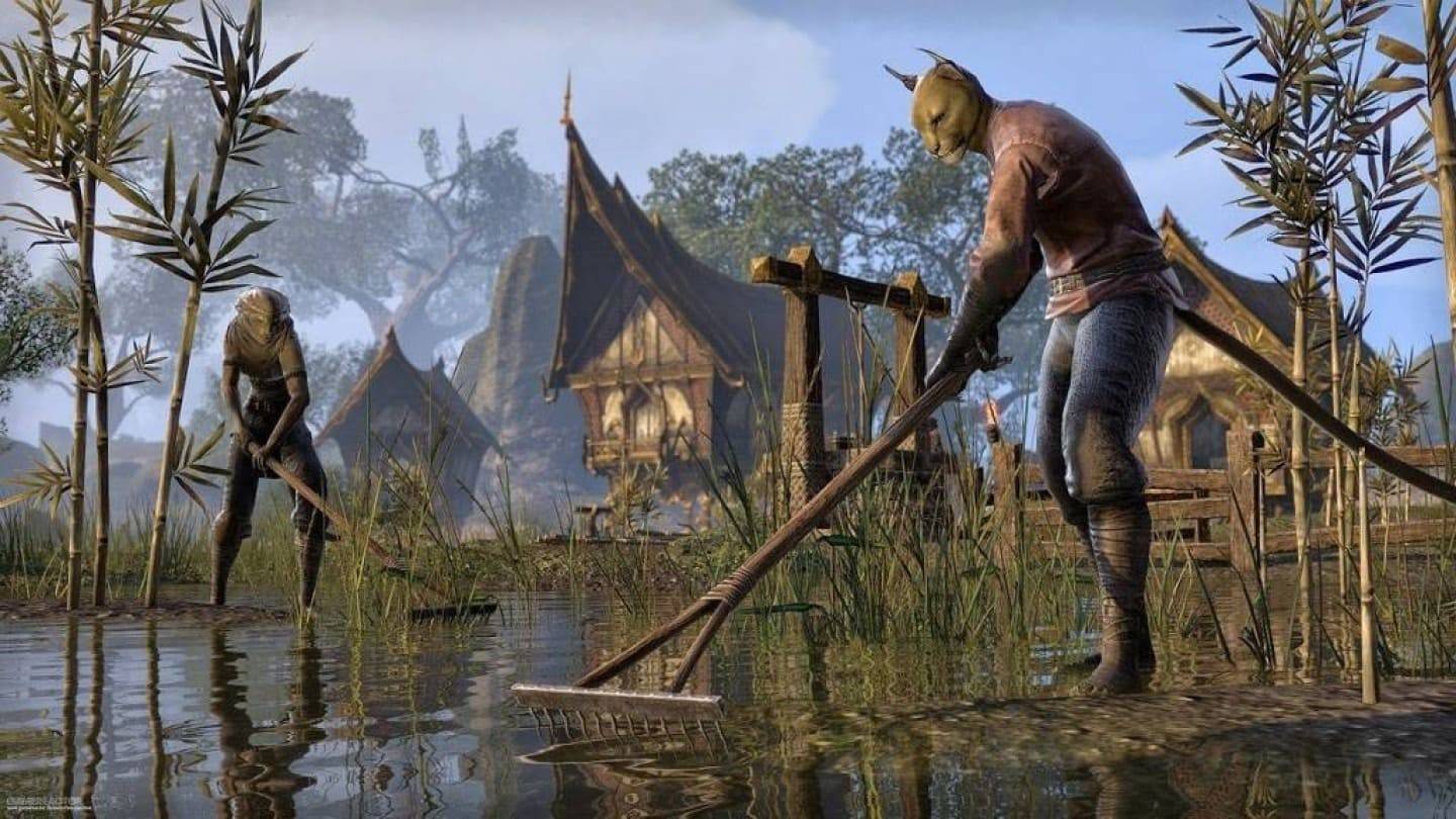 Gamer Spends $100,000 for Elder Scrolls VI Inclusion