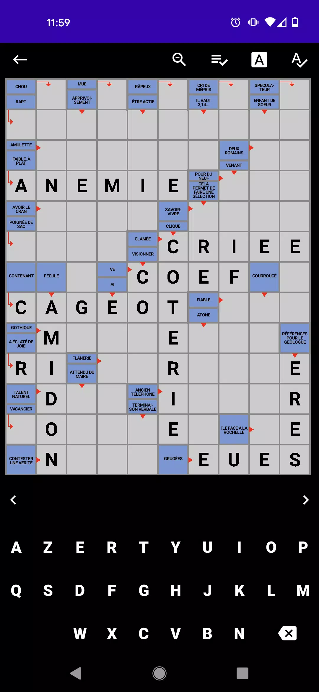 Mots Fléchés Français Screenshot 1