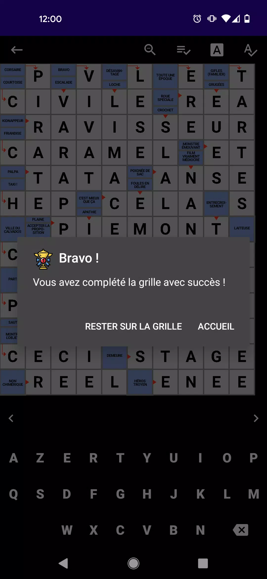 Mots Fléchés Français Screenshot 3