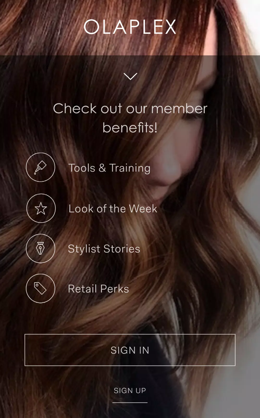 Olaplex Pro Captura de pantalla 1