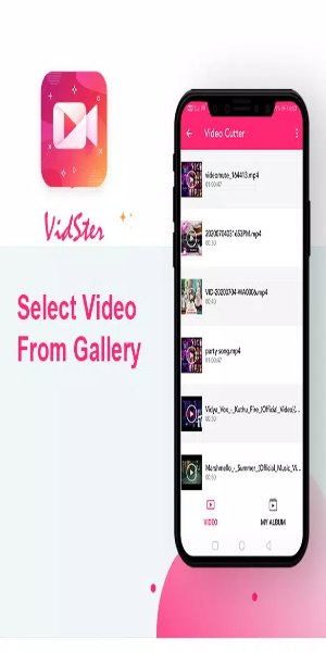 VidSter 视频音频编辑器