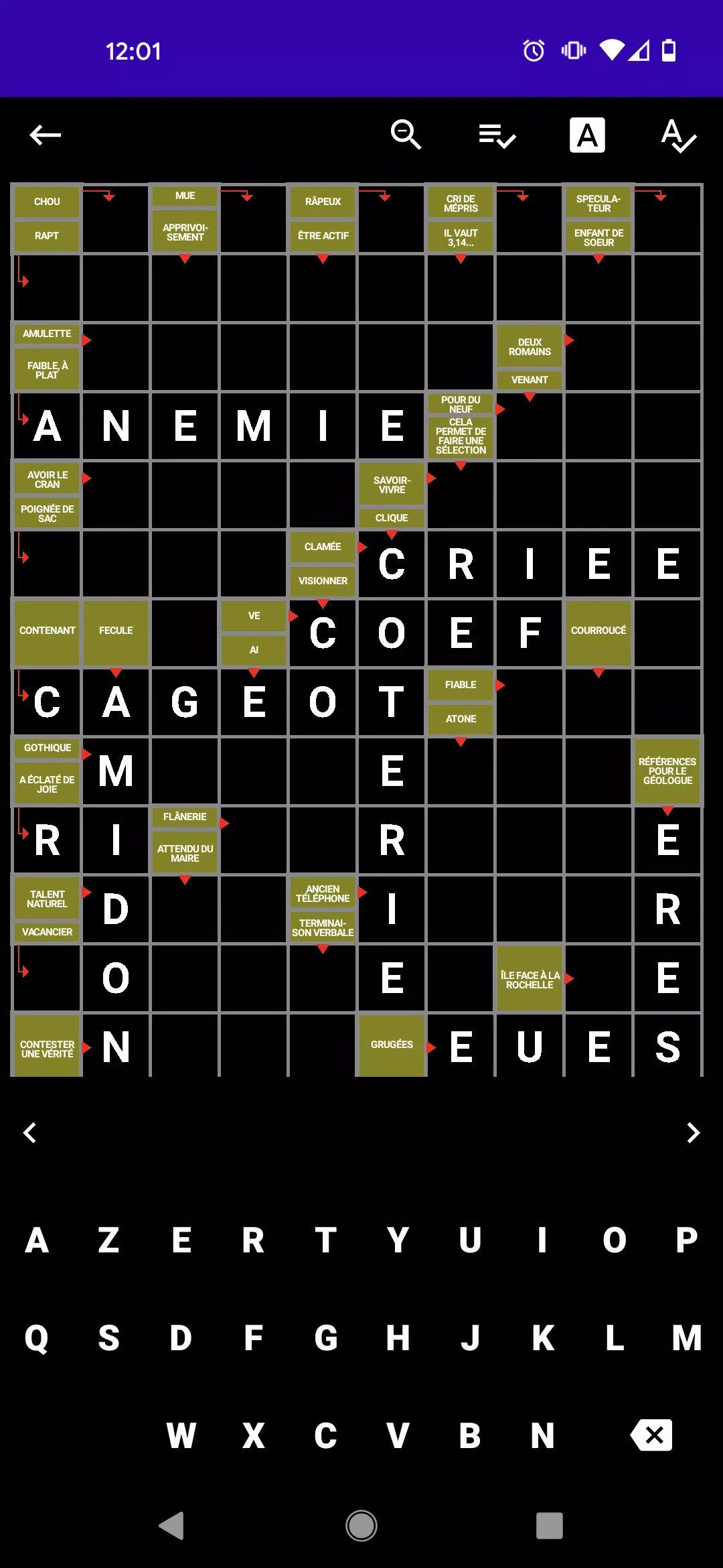 Mots Fléchés Français Screenshot 4