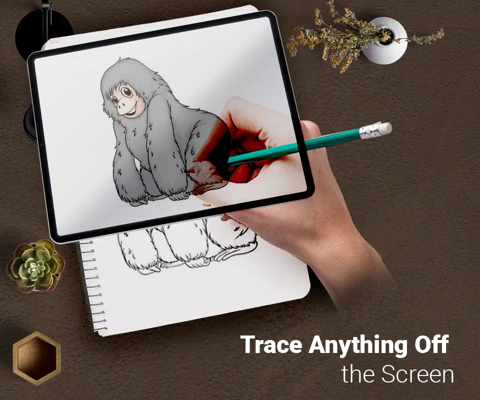 Draw : Trace & Sketch Captura de pantalla 1