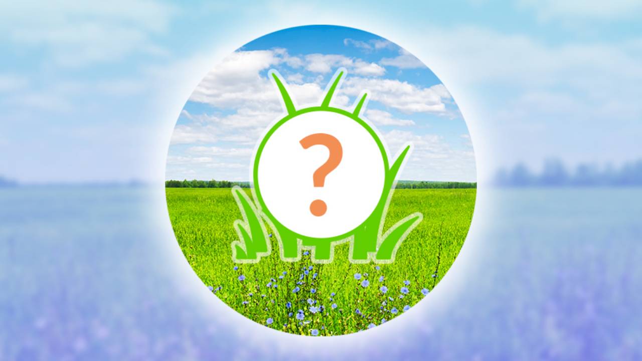 Quando é a próxima hora de destaque no Pokémon GO? Programação do Spotlight Hour de dezembro de 2024