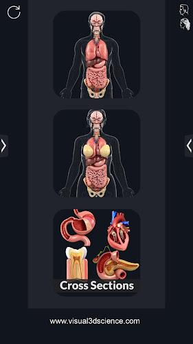 My Organs Anatomy应用截图第1张