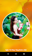 Nhạc Vàng Nhạc Trữ Tình Bolero Ekran Görüntüsü 3