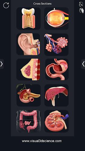 My Organs Anatomy应用截图第2张