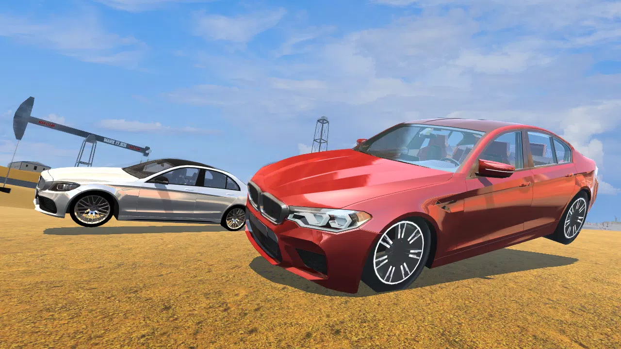 CarSim M5&C63 スクリーンショット 4