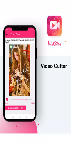 VidSter 视频音频编辑器