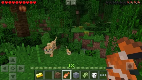 Criando jogos: o apelo viciante explicado