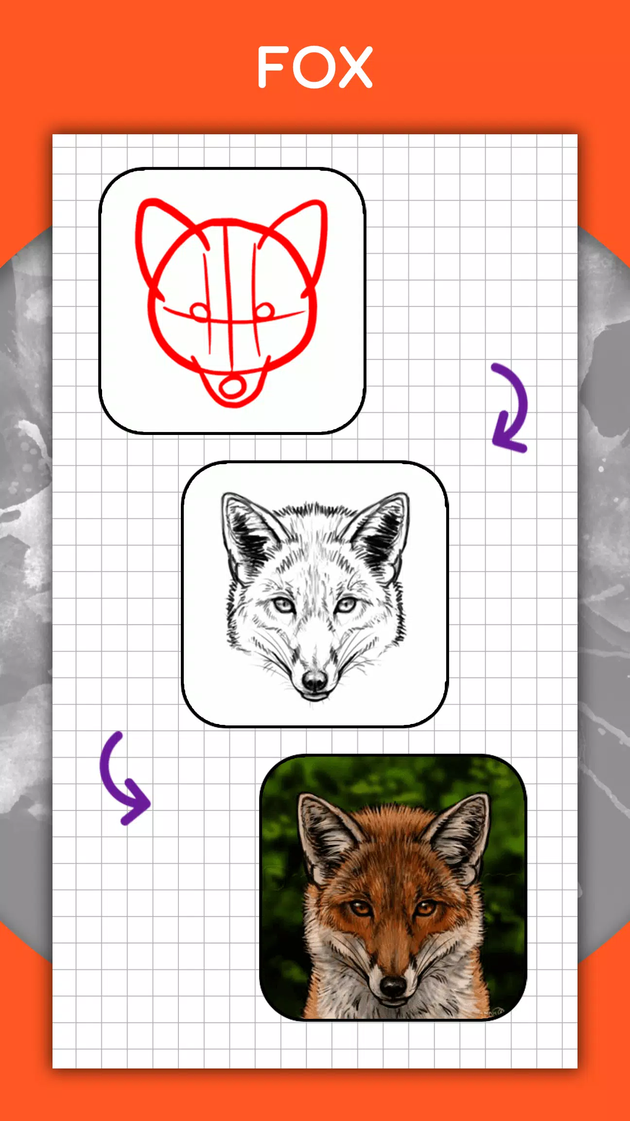 How to draw animals by steps Screenshot 4