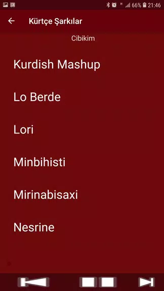 Yeni Kürtçe Şarkılar (İnternetsiz)应用截图第4张