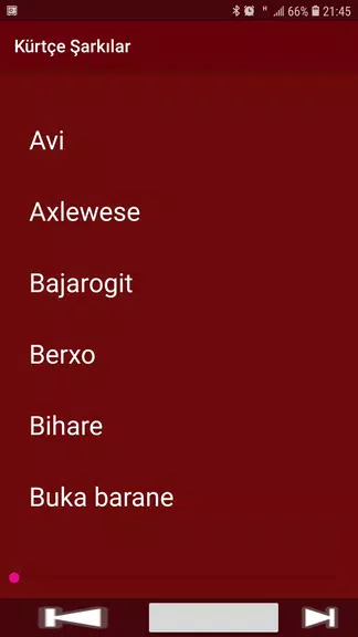 Yeni Kürtçe Şarkılar (İnternetsiz)应用截图第1张
