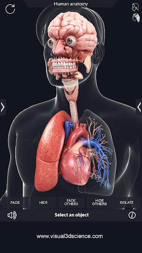 My Organs Anatomy应用截图第4张