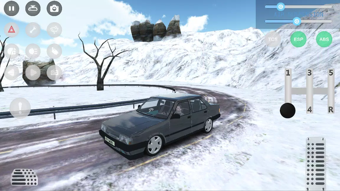Car Parking and Driving Sim スクリーンショット 3