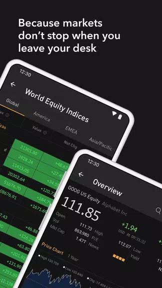 Bloomberg Professional Screenshot 2