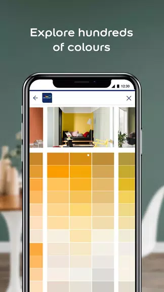 Dulux Visualizer ZA Capture d’écran 2