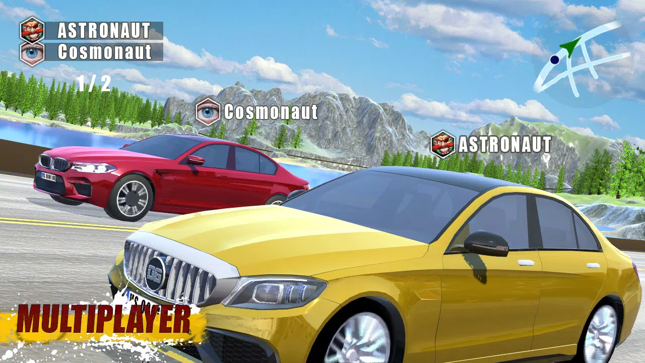 CarSim M5&C63 スクリーンショット 2