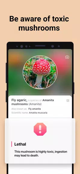 Picture Mushroom - Mushroom ID Скриншот 3
