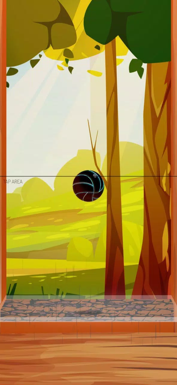 Dirs Dirs Ball Captura de pantalla 2