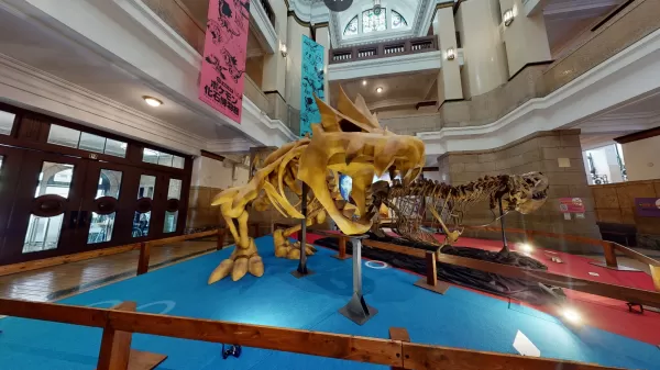 Pokémon化石博物館明年在美國展示真實和假化石