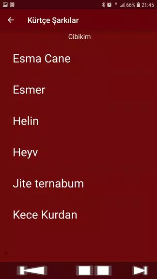 Yeni Kürtçe Şarkılar (İnternetsiz)应用截图第3张