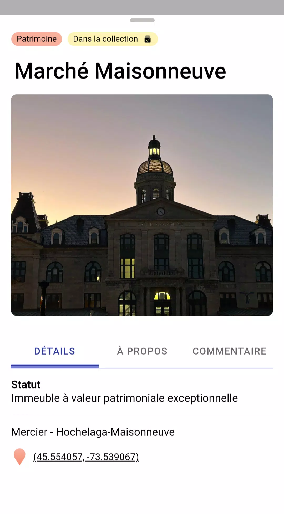 MONA Capture d’écran 3
