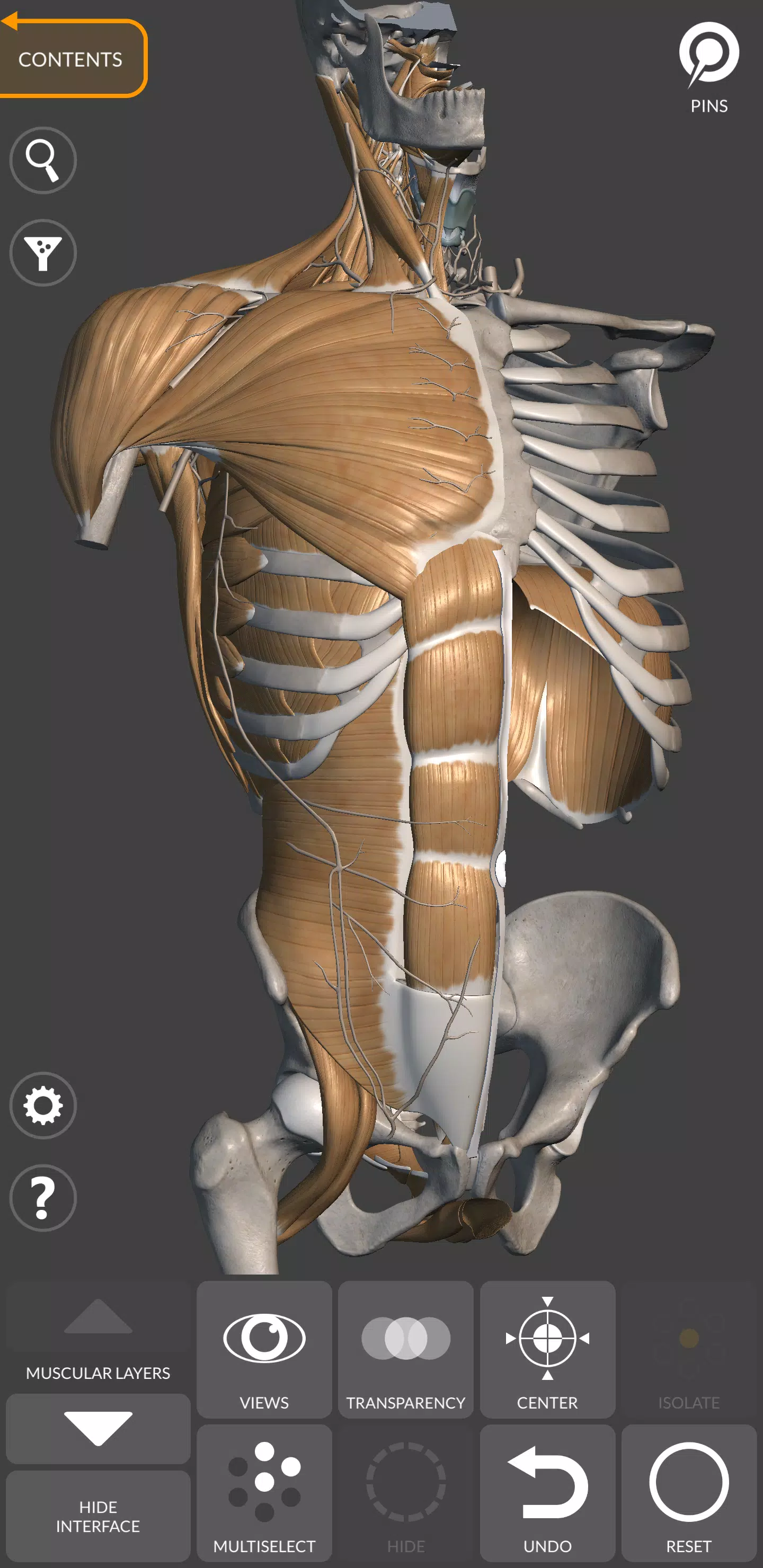 3D Анатомия для художников Скриншот 2