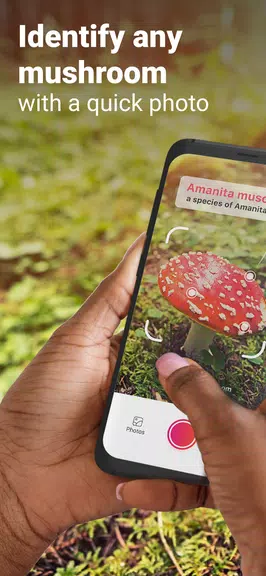 Picture Mushroom - Mushroom ID Скриншот 1