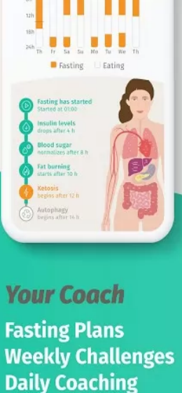 BodyFast: Intermittent Fasting应用截图第1张