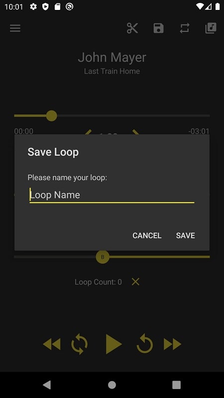 Loop Player Ekran Görüntüsü 3