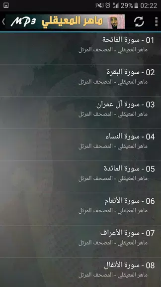 ماهر المعيقلي القران الكريم Скриншот 3