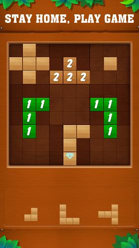 Tetrudoku: Block Puzzle Captura de pantalla 1