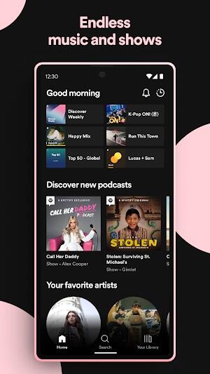 Spotify Premium apk für Android