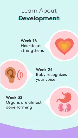 Pregnancy Tracker & Baby App应用截图第3张